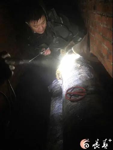 asiagame(中国)asiagaming